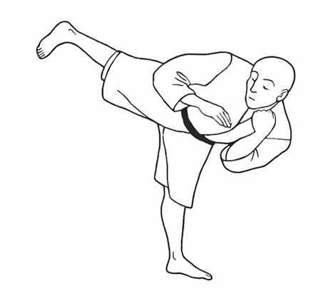 Shorinji Kempo Québec